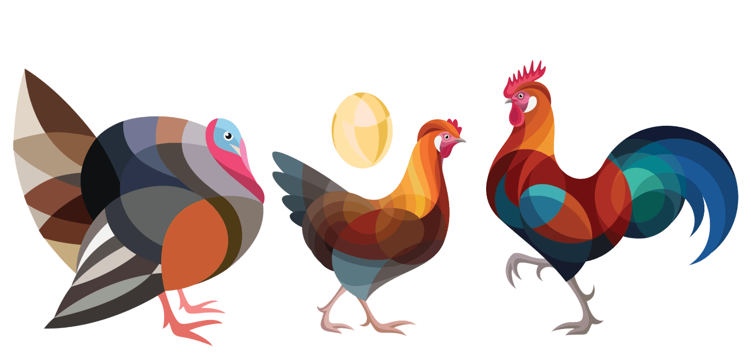 Turkey, hen and rooster illustration